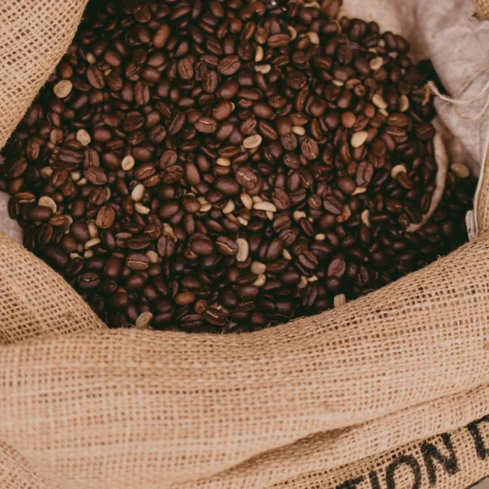 Robusta Pilihan